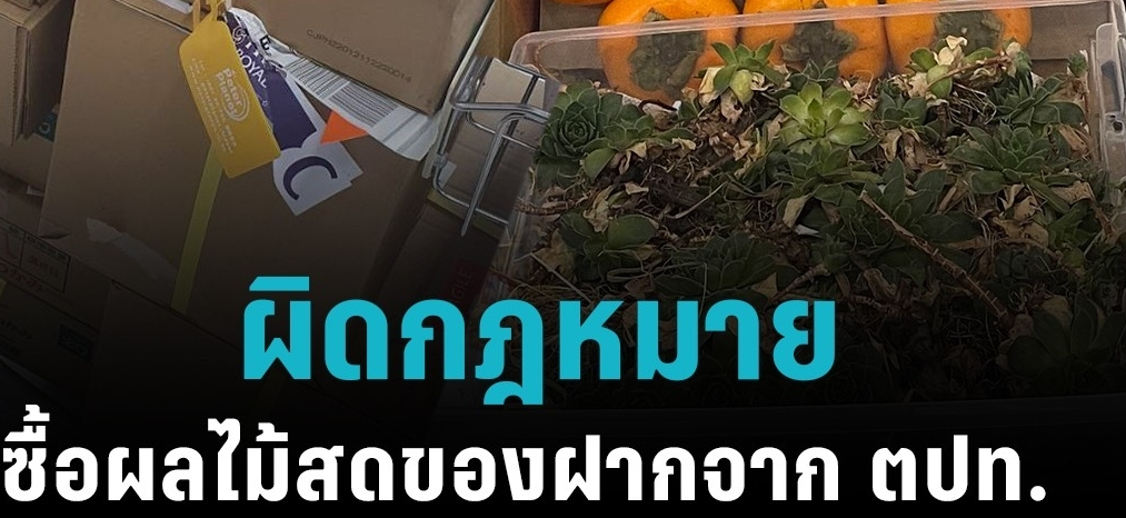 从泰国国外进口水果到泰国