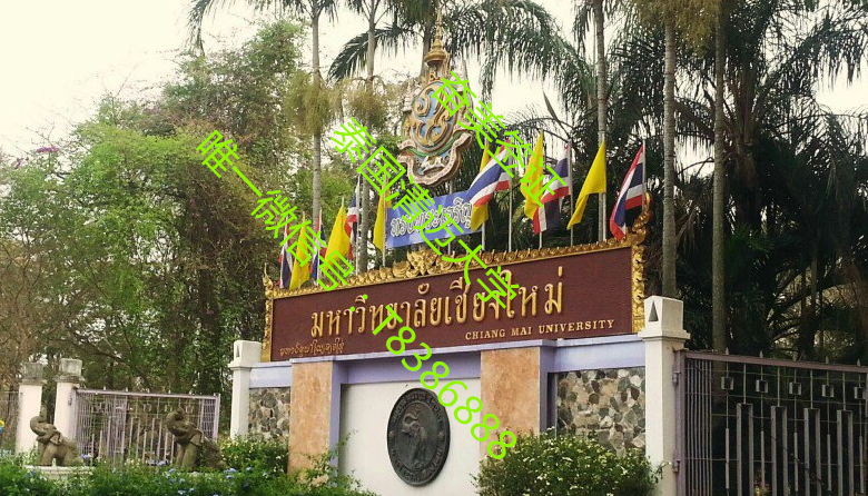 国内承认泰国的大学毕业证书吗？