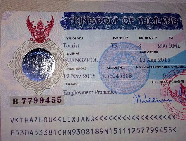 泰国工作签证图片样式