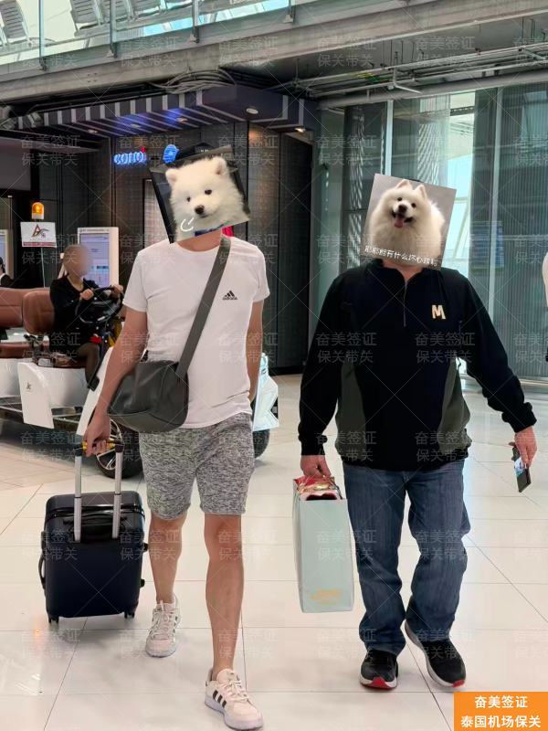 泰国机场遣返记录重新入境：专业分析与解决方案