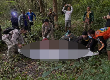 泰国北碧府一男子采蘑菇时遭野象踩踏致死
