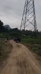 泰国北碧府一男子采蘑菇时遭野象踩踏致死