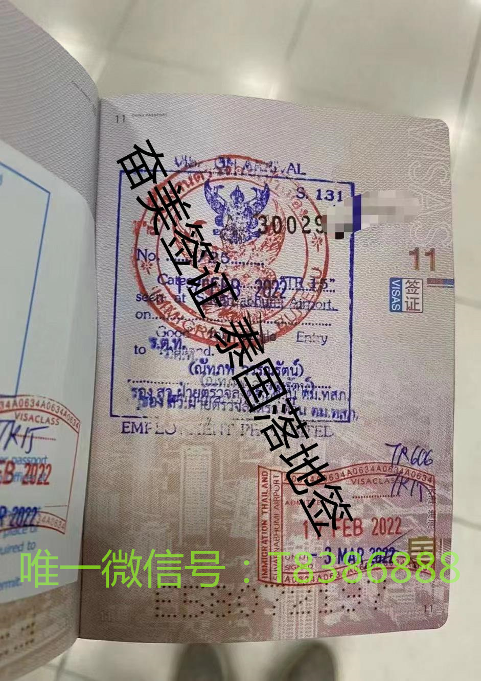 每年到泰国旅游的人数多不多？（中国游客量）