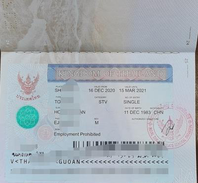 泰国stv签证图片样式