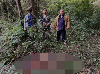泰国北碧府一男子采蘑菇时遭野象踩踏致死