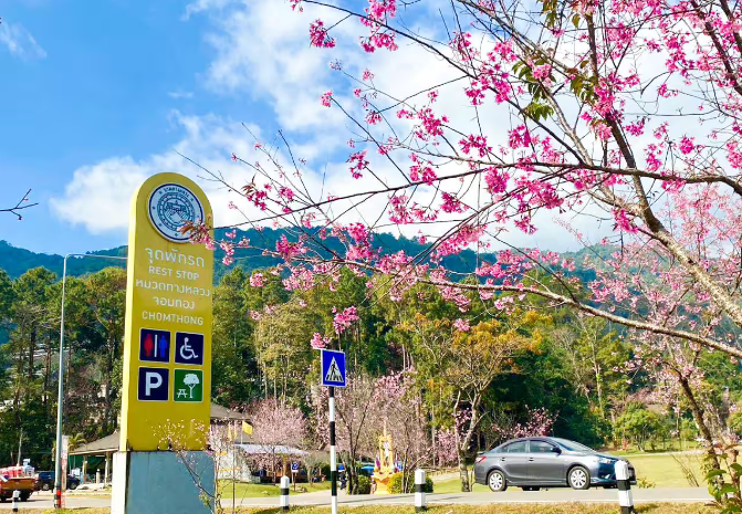 公路局设了免费露营点