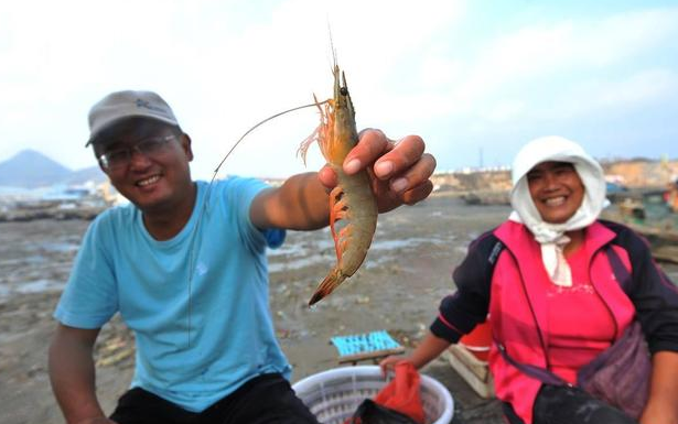 今年泰国虾产量保持在28万吨