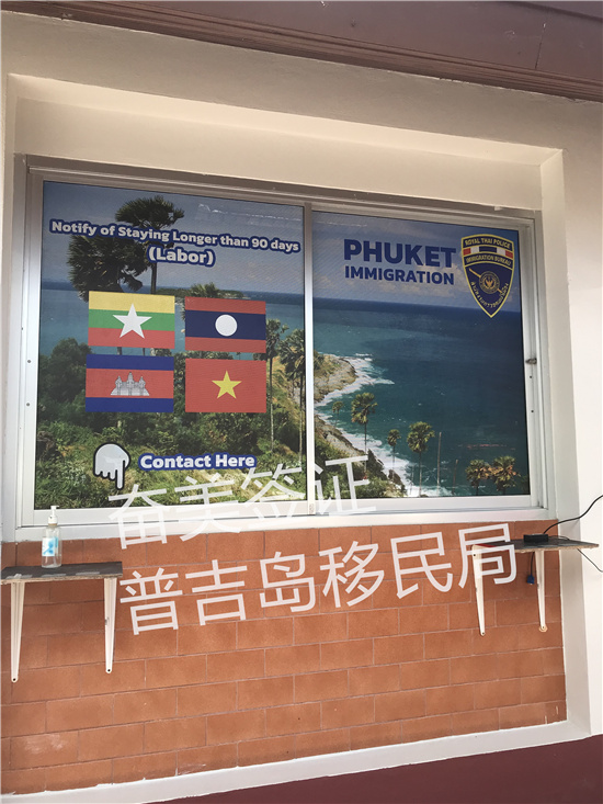 权威政策解读与应对指南