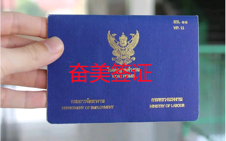 申请泰国工作签证的流程是什么？