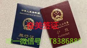 什么情况下才能在泰国补办出来护照(补办护照的条件)