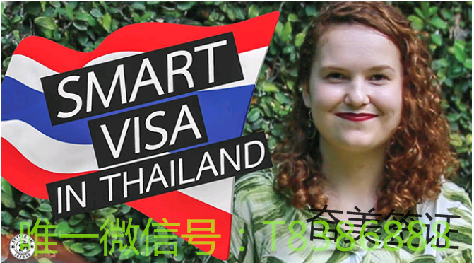 泰国的智慧签是什么类型的签证？